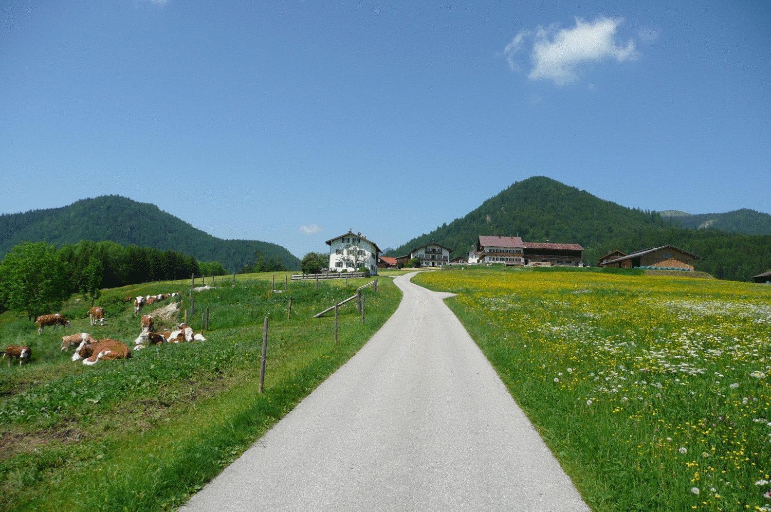 Gasthof Jachenau Extérieur photo
